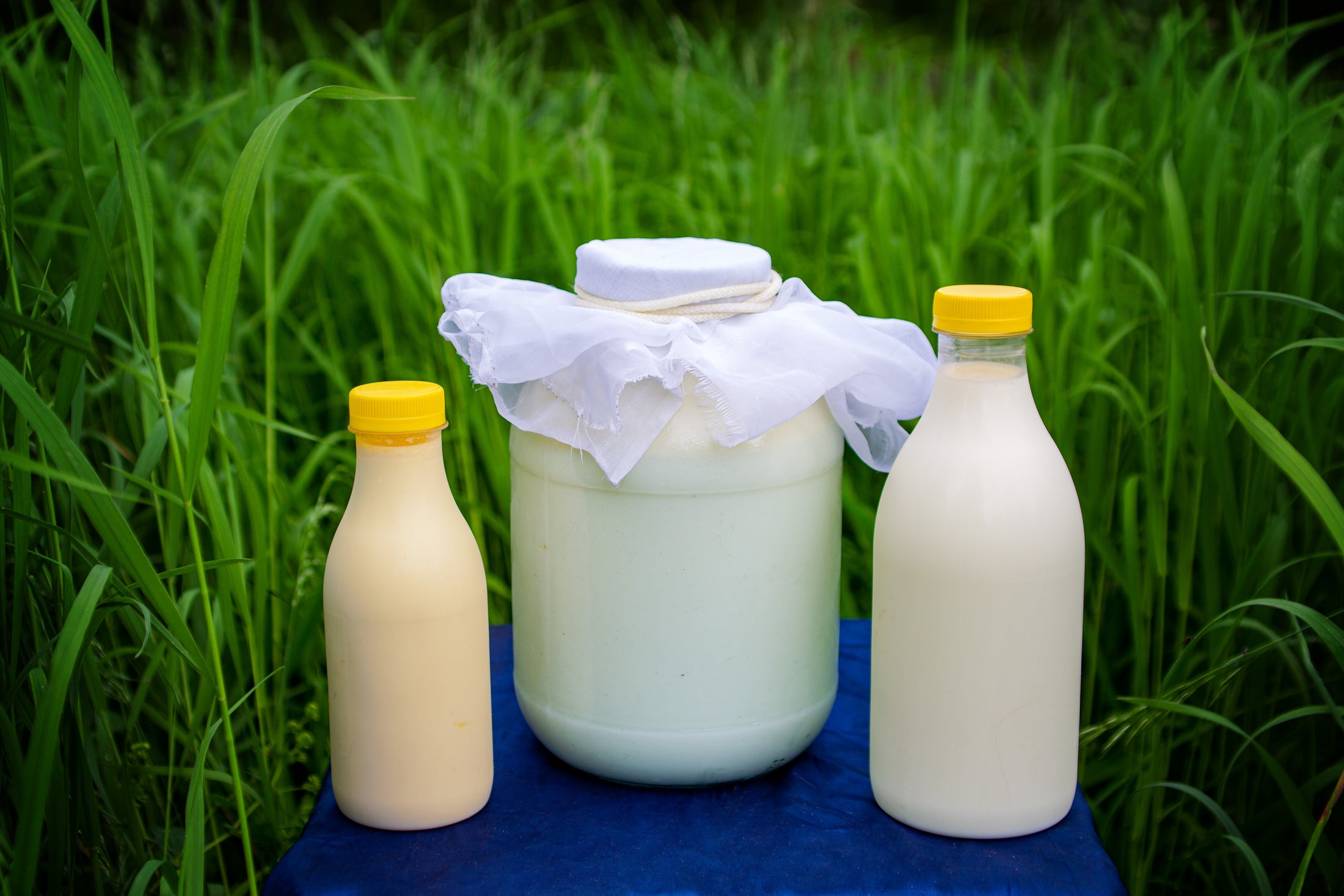 Raw Milk In Other Words